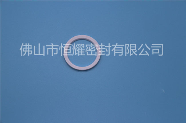 荆门液压泛塞封-液压泛塞封采购-佛山市EVO视讯密封公司