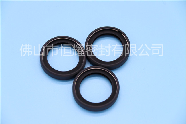 EVO视讯密封有限公司(图)-四氟泛塞封加工-揭阳四氟泛塞封